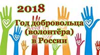 Год добровольца в России